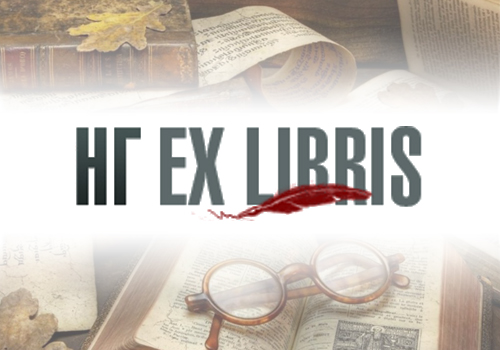 Человек, играющий с котом